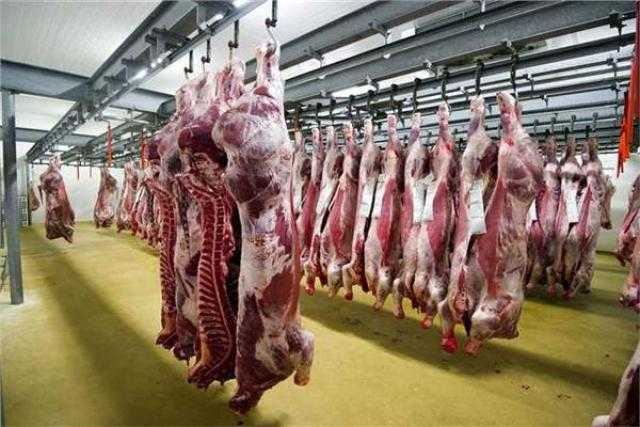 شعراوي والقصير يستعرضان  آخر المستجدات الخاصة بالمشروع القومي لتطوير المجازر