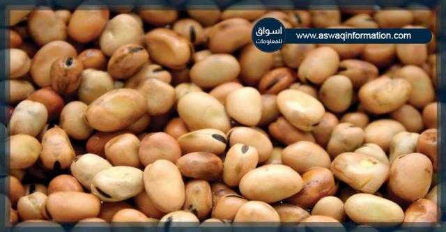 أسعار الفول (البلدى-المستورد) بالأسواق المصرية السبت 26 يونيو