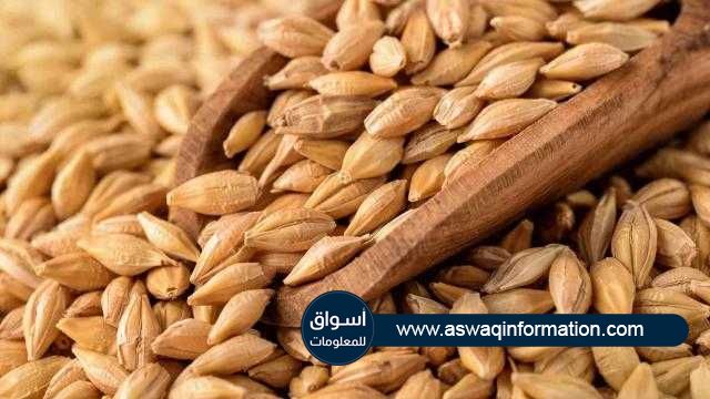 تراجع القمح اللين للأسبوع الثالث في بورصة شيكاغو مع ارتفاع قياسي للقمح الربيعي