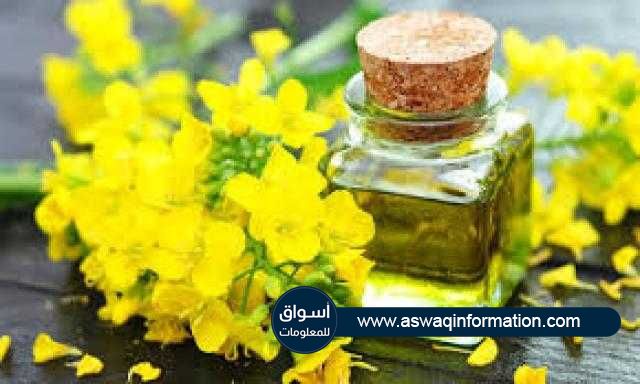 العقود الآجلة للكانولا ترتفع بأكثر من 4% علي مدار الأسبوع في بورصة نيويورك