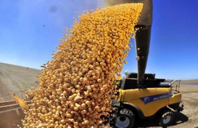 تراجع سعر تصدير محصول الذرة الأوكراني الجديد بنحو 28 دولار خلال أسبوع