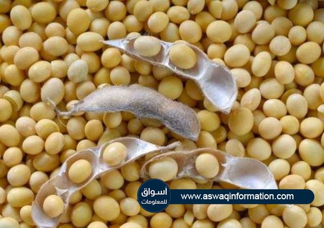 العقود الآجلة لفول الصويا ترتفع في بداية تعاملات اليوم الاثنين ببورصة شيكاغو