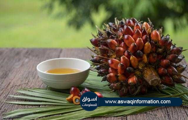 زيت النخيل الماليزي يتراجع في الجلسة الصباحية بدعم من تخفيض رسوم التصدير