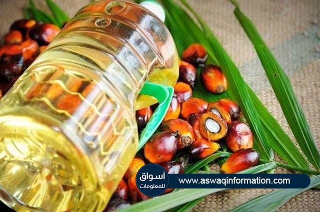 العقود الآجلة لزيت النخيل الماليزي ترتفع في الجلسة الصباحية لأعلي مستوى في ثلاثة أسابيع