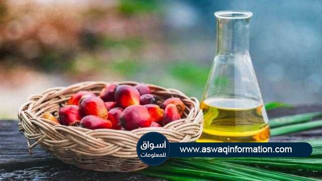 تراجعت العقود الآجلة لزيت النخيل الماليزي في الجلسة المسائية بمقدار 10 دولارات