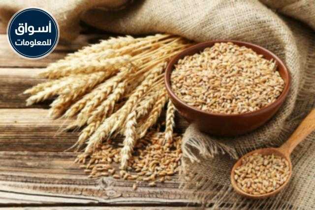 العقود الآجلة للقمح تغلق على انخفاض في بورصة شيكاغو بنهاية تداولات اليوم الخميس