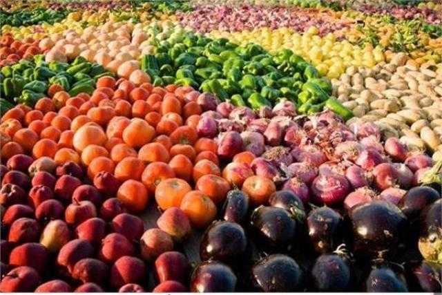 القصير: ارتفاع صادرات مصر الزراعية إلى أكثر من 4 ملايين طن