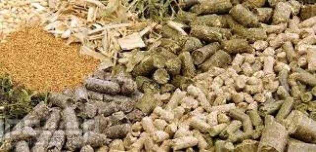 أسعار الأعلاف بالسوق المحلي السبت 3 يوليو 2021