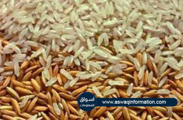 استقرار أسعار الأرز المحلي و تراجعها عالمياً السبت 3 يوليو