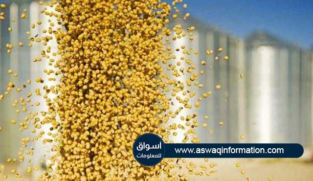 العقود الآجلة لفول الصويا تحقق المكسب الأسبوعي الأول علي مدار شهر بنسبة تتجاوز 8%