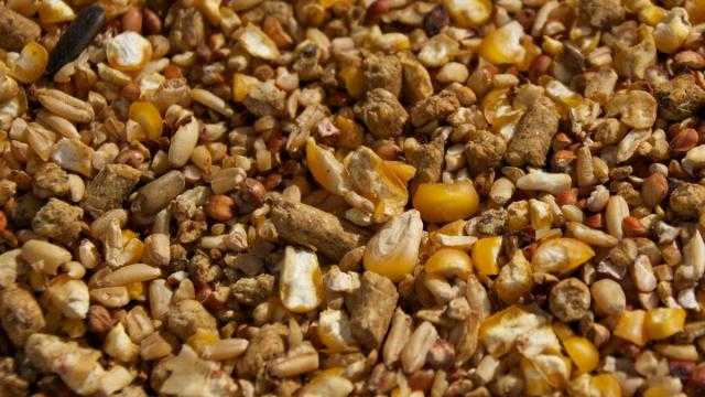 استقرار أسعار الأعلاف باالسوق المحلي الأحد 4 يوليو 2021