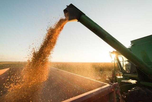 مصر تستورد 17% من صادرات القمح الروسي خلال موسم 2020/21