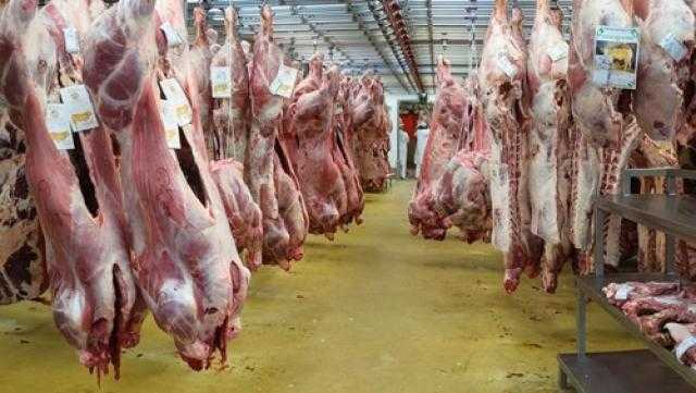 محافظ أسوان: توفير كميات من اللحوم بالمجمعات الاستهلاكية بأسعار مخفضة