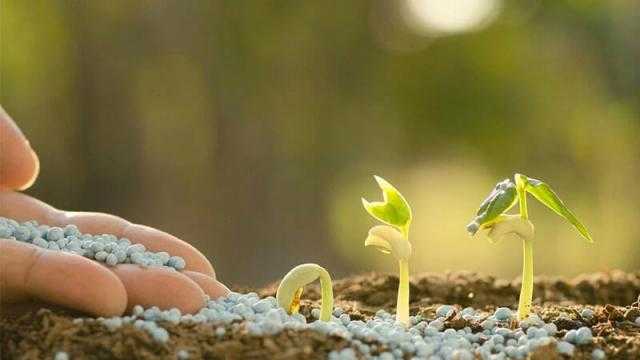 أسعار الأسمدة محلياً وعالمياً السبت 10 يوليو 2021