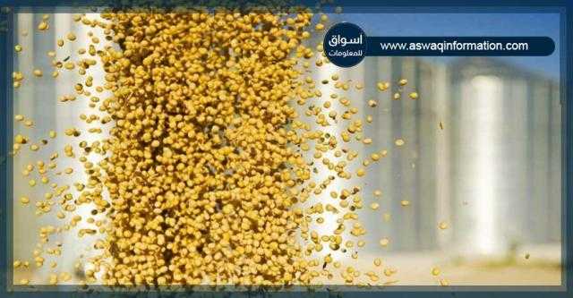 ارتفاع العقود الآجلة لفول الصويا في بورصة شيكاغو مع إغلاق جلسة الجمعة