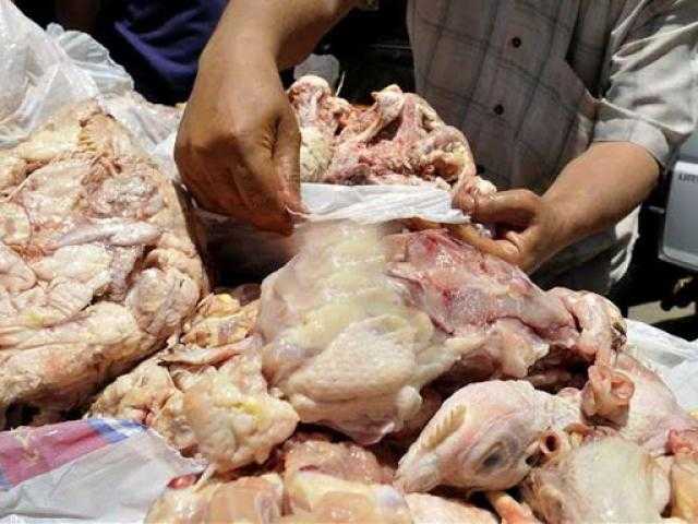 «مباحث التموين» تصادر 5.5 طن دواجن وأسماك فاسدة قبل تداولها فى الأسواق