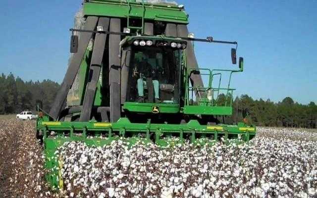 انخفاض خسائر «العربية لحليج الأقطان بنسبة 65% خلال الـ9 أشهر الأولى من العام 2021
