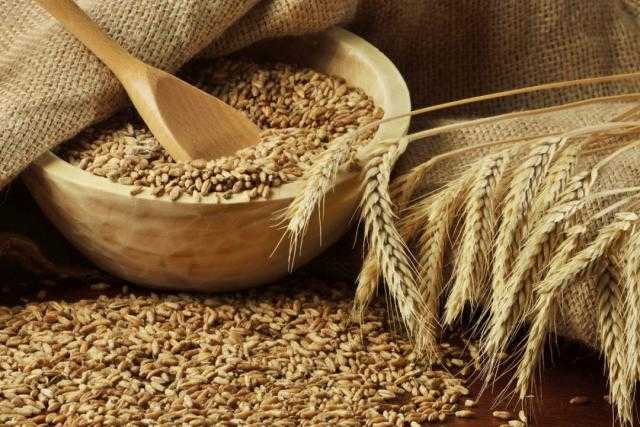 انخفاض العقود الآجلة للقمح في بورصة شيكاغو للتجارة خلال الجلسة الإفتتاحية اليوم