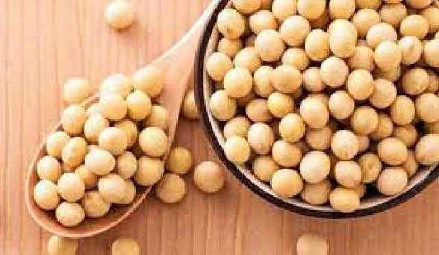 بذرة الصويا تغلق على ارتفاع 28 سنت للبوشل عند تسويات الإثنين 12 يوليو