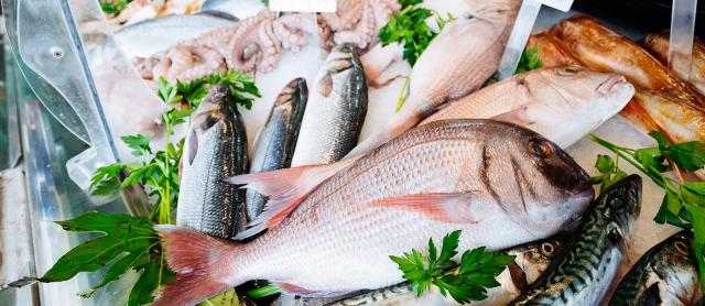 انخفاض أسعار السمك  البلطي بسوق العبور اليوم الثلاثاء 13 يوليو 2021