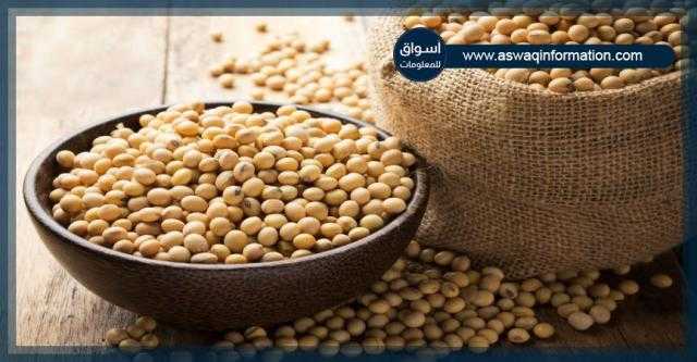 العقود الآجلة لفول الصويا تغلق على ارتفاع في بورصة شيكاغو بنهاية تداولات الثلاثاء