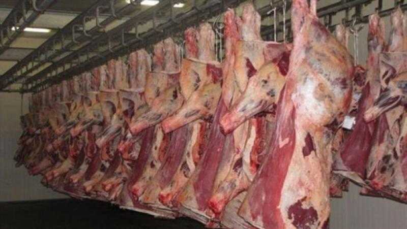 توقعات بنمو استهلاك اللحوم عالميا إلى 406 ملايين طن حتى 2034