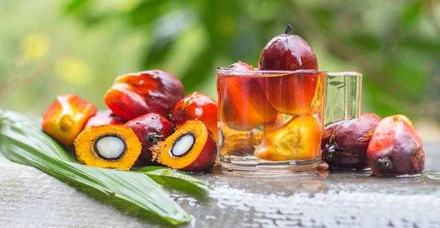 ارتفاع العقود الآجلة لزيت النخيل الماليزي بمقدار 12.50 دولار للطن خلال الجلسة الصباحية