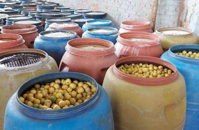 ضبط 6 أطنان زيتون غير صالحة في الشرقية