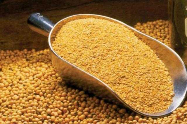 العقود الآجلة لكسب الصويا ترتفع في بداية تعاملات بورصة شيكاغو اليوم الجمعة