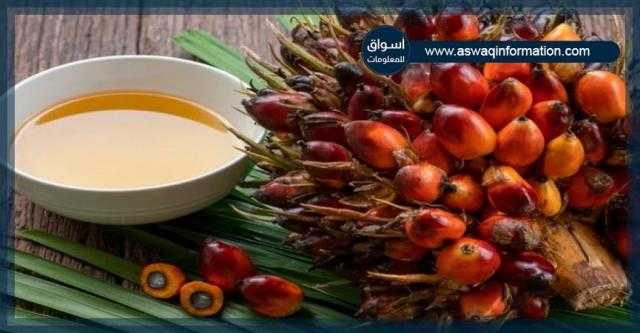 العقود الآجلة لزيت النخيل تستقر عند 1092.50 دولار للطن في بورصة ماليزيا للمشتقات