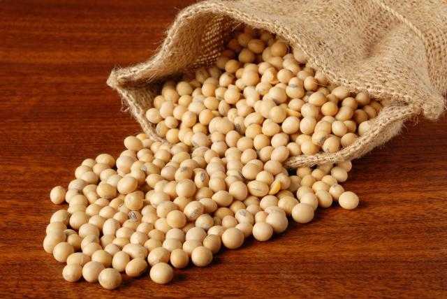 أسعار إغلاق العقود الآجلة لفول الصويا في بورصة شيكاغو بجلسة بداية الأسبوع