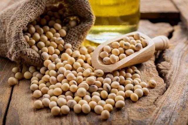 فول الصويا ينخفض في نهاية تعاملات اليوم الخميس