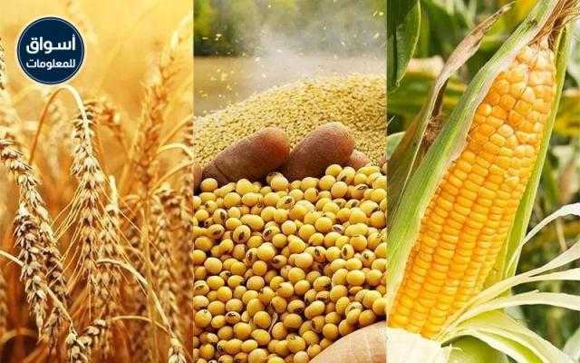 «وزارة الزراعة الأمريكية»  حصاد 83% من القمح الشتوي في ولاية ميشيغان وحدها الأسبوع الماضي