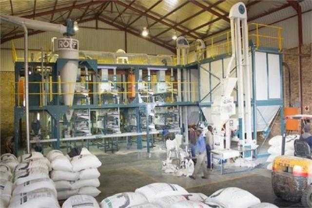 ارتفاع خسائر «مطاحن جنوب القاهرة» بنسبة 57.77% خلال العام المالى الماضى
