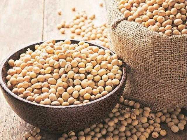 انخفاض العقود الآجلة لفول الصويا في بداية تعاملات بورصة شيكاغو اليوم