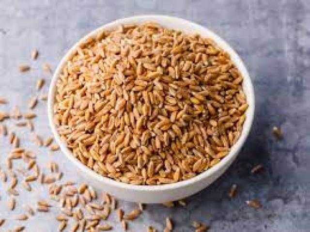 ارتفاع العقود  الآجلة للقمح في إغلاق تداول بورصة شيكاغو اليوم بنسبة 3.5%