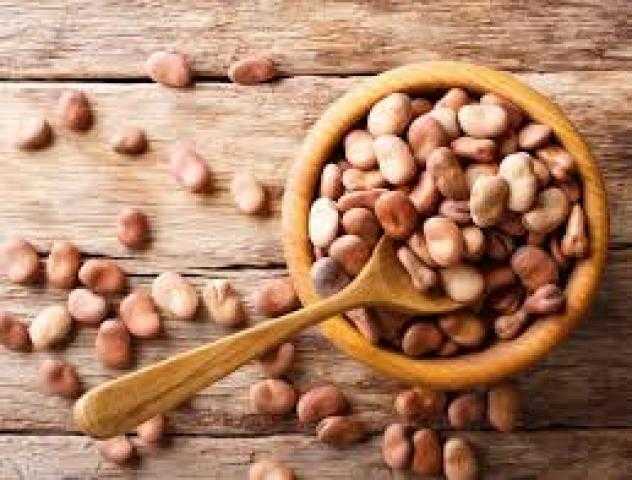 استقرار أسعار الفول بالسوق المحلي الأربعاء 4 أغسطس 2021