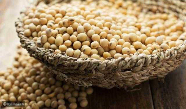 ارتفاع العقود الآجلة لفول الصويا في إغلاق بورصة شيكاغو اليوم