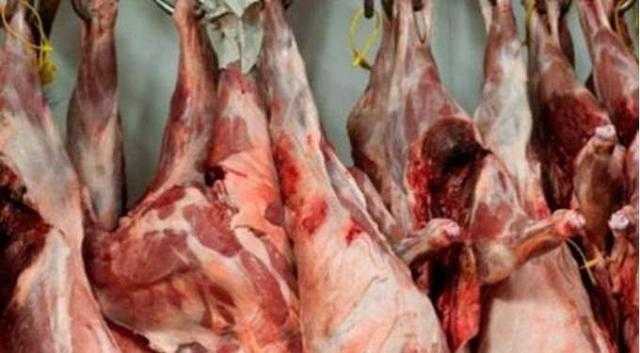 «مباحث التموين» تضبط نحو 4.6 طن لحوم وأسماك فاسدة قبل تداولها بالأسواق