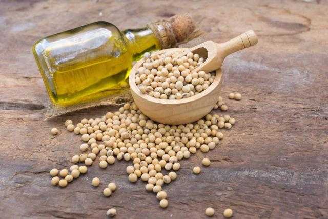 ارتفاع العقود الآجلة لزيت الصويا ببورصة شيكاغو في نهاية تداولات الجمعة 6 أغسطس