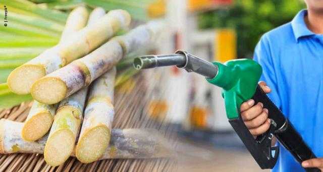 بأكثر من 30٪.. ارتفاع إنتاج الإيثانول اللامائي فى البرازيل خلال النصف الأول من شهر يوليو