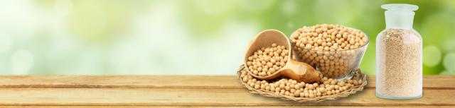 العقود الآجلة لزيت الصويا ترتفع بنسبة 0.61 % في بداية تعاملات جلسة اليوم ببورصة شيكاغو