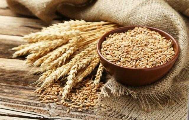 القمح يغلق على ارتفاع بأكثر من 2% عند تسوية تداولات الثلاثاء