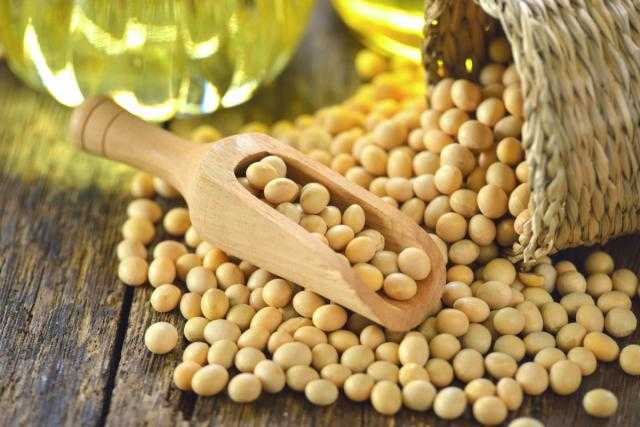 بذرة الصويا تغلق على ارتفاع 13 سنت في بورصة شيكاغو