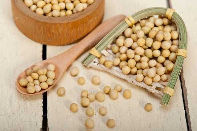العقود الآجلة لفول الصويا تشهد ارتفاعا في بداية تعاملات بورصة شيكاغو اليوم