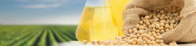 العقود الآجلة لزيت الصويا تنخفض في بداية تعاملات جلسة اليوم ببورصة شيكاغو