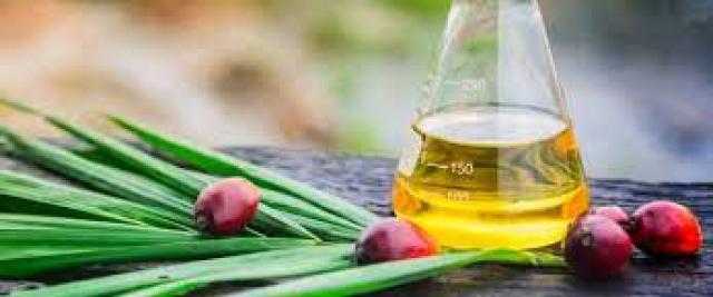 تراجع العقود الآجلة لزيت النخيل الماليزي بمقدار 10 دولار اليوم الخميس