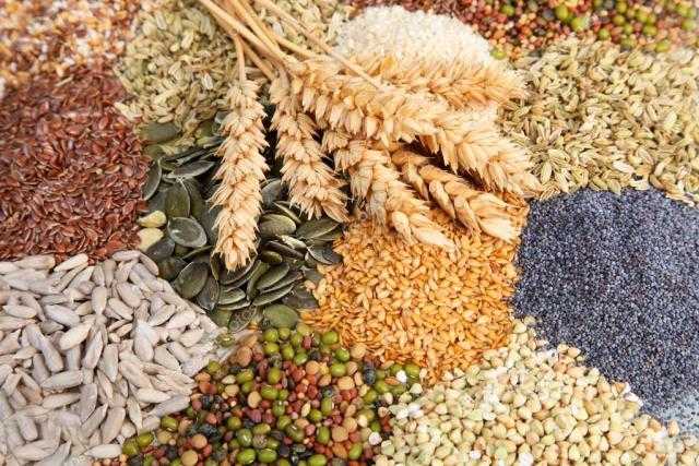 استقرار أسعار الأعلاف في السوق المحلي ليوم الجمعة 13 أغسطس 2021