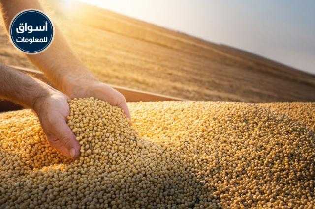 انخفاض أسعار فول الصويا في بداية تعاملات اليوم الاثنين