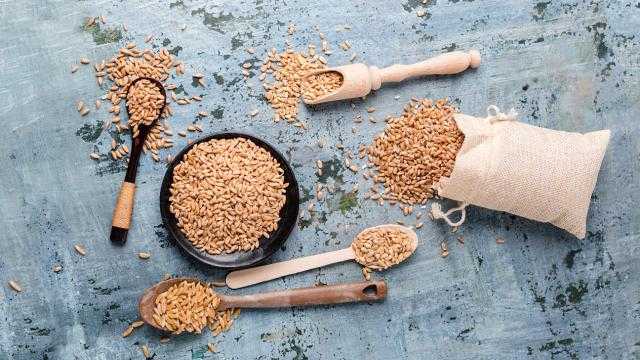 ارتفاع العقود الآجلة للقمح في بورصة شيكاغو اليوم الأربعاء 18 أغسطس